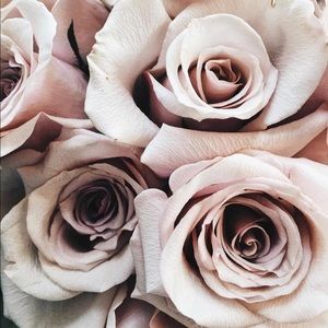 Meet your Posher, Misun